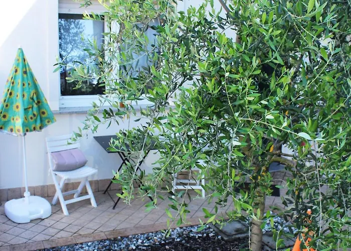 Il Di Dedo * 아로나